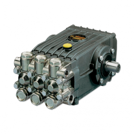 INTERPUMP WS202-DX